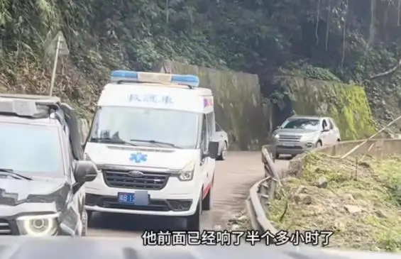 科技助“荔”，“豐”景在望！陽(yáng)西荔枝迎“大年”