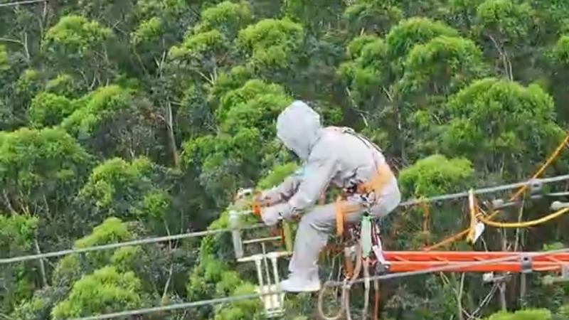 云浮市成功实施首例等电位带电作业 高效消除高速跨越线路隐患