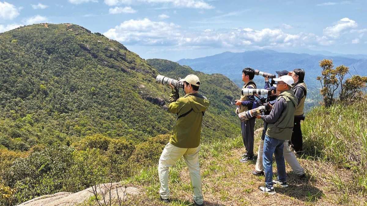 Birders compete for views in reserves