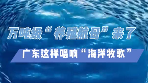 粤进2025｜万吨级“养殖航母”来了！广东这样唱响“海洋牧歌”