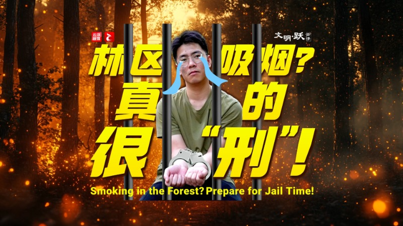 文明•跃丨林区吸烟？真的很“刑”！