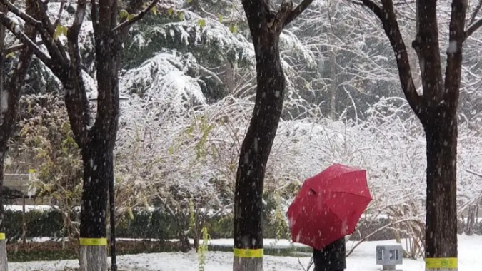 武汉铁路公告：多趟列车停运，请不要贸然前往火车站