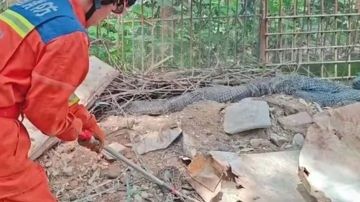 揭阳惊现“蛇出没”？别慌！消防员化身 “捕蛇侠”