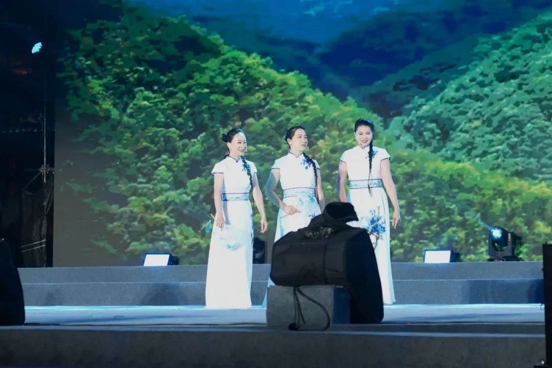 梅州市大埔县的山茶花合唱团——《青山依旧青山》