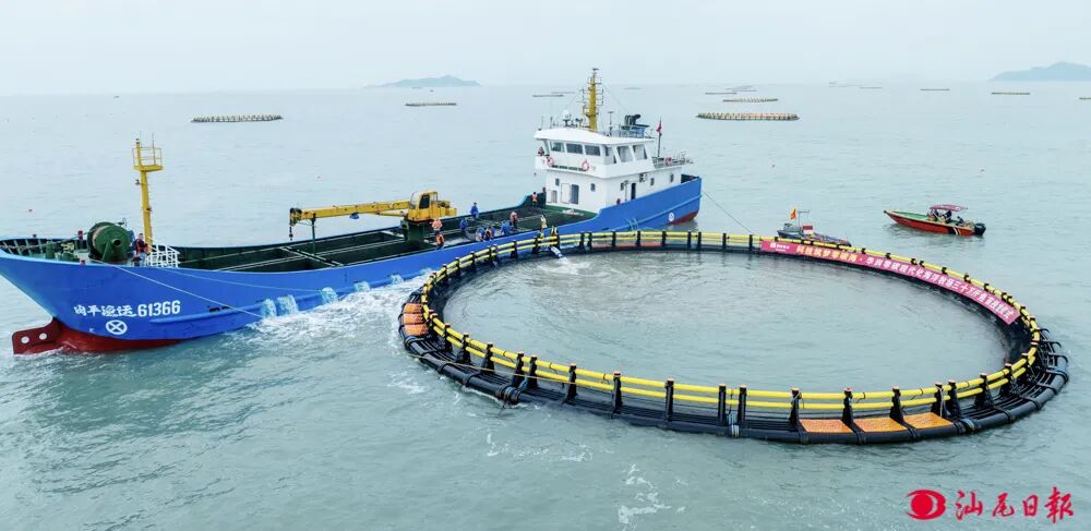 华润零碳现代化海洋牧场三十万斤鱼苗投放仪式现场。汕尾日报记者 陈茂辛 摄