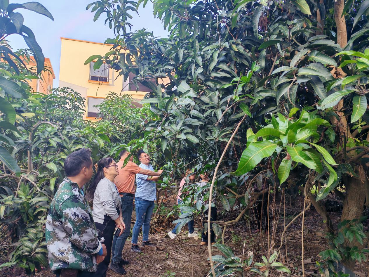 郁南县河口镇乡村振兴人才驿站：引智赋能产业兴 校地合作谱新篇