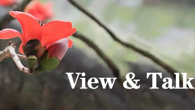 【View & Talk】守护青春 法不容“欺”！ 大检察官进行法治宣传教育宣讲