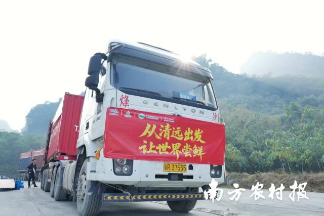 西牛麻竹笋产品出口美国、东南亚,开启跨国之旅。 西牛麻竹笋产品出口美国、东南亚,开启跨国之旅。