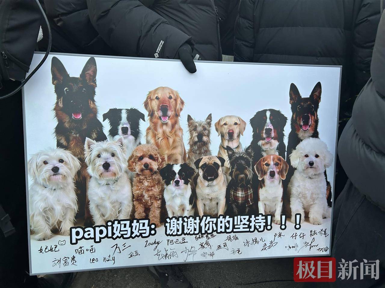 人犬冲突折射的是人际矛盾 解决要靠规则和沟通