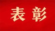 劳动和技能竞赛第一名广东省五一劳动奖章拟表彰名单公示