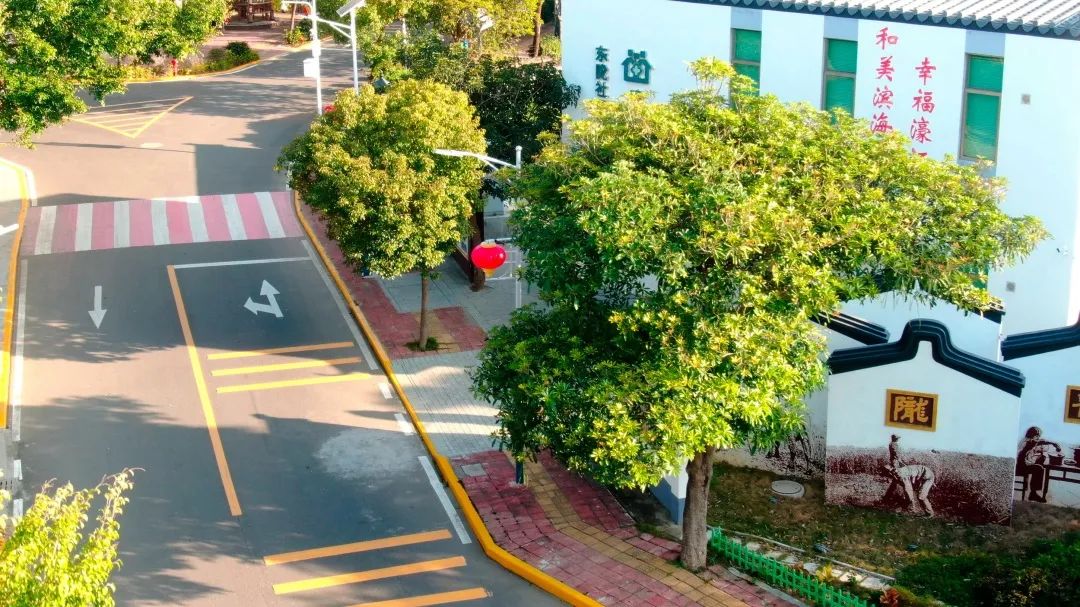濠江区全方位推动“平安·幸福”村居创建，首批18个社区已通过验收。图为滨海街道东陇社区整洁有序的村容村貌。