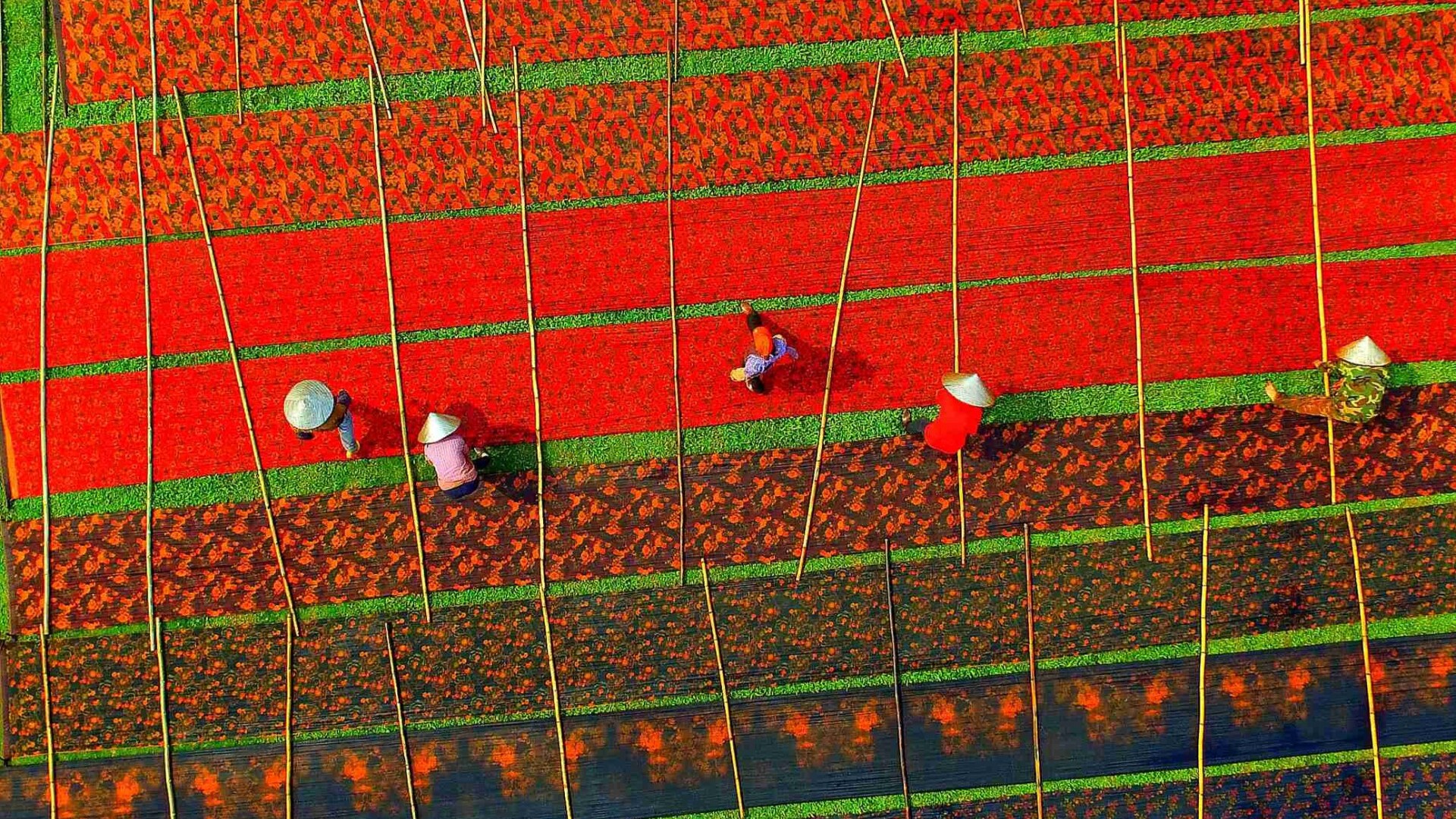 New generation steps up to carry on 600-year Xiangyunsha tradition