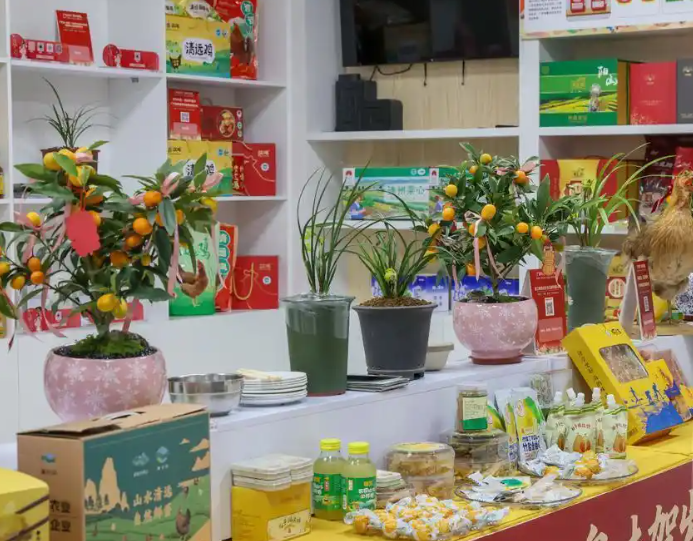 现场参展的广东兰花与年桔。