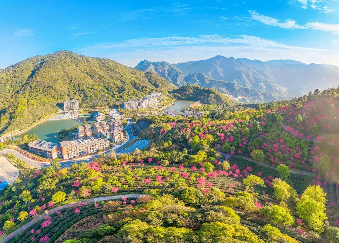 云浮“十四五”生态建设交出亮眼答卷——“百千万工程”三年初见成效