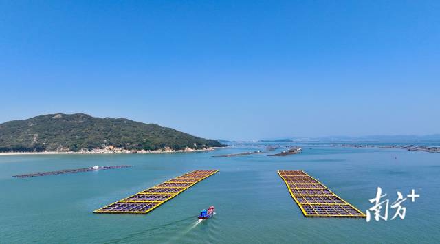 饶平海洋牧场风光。