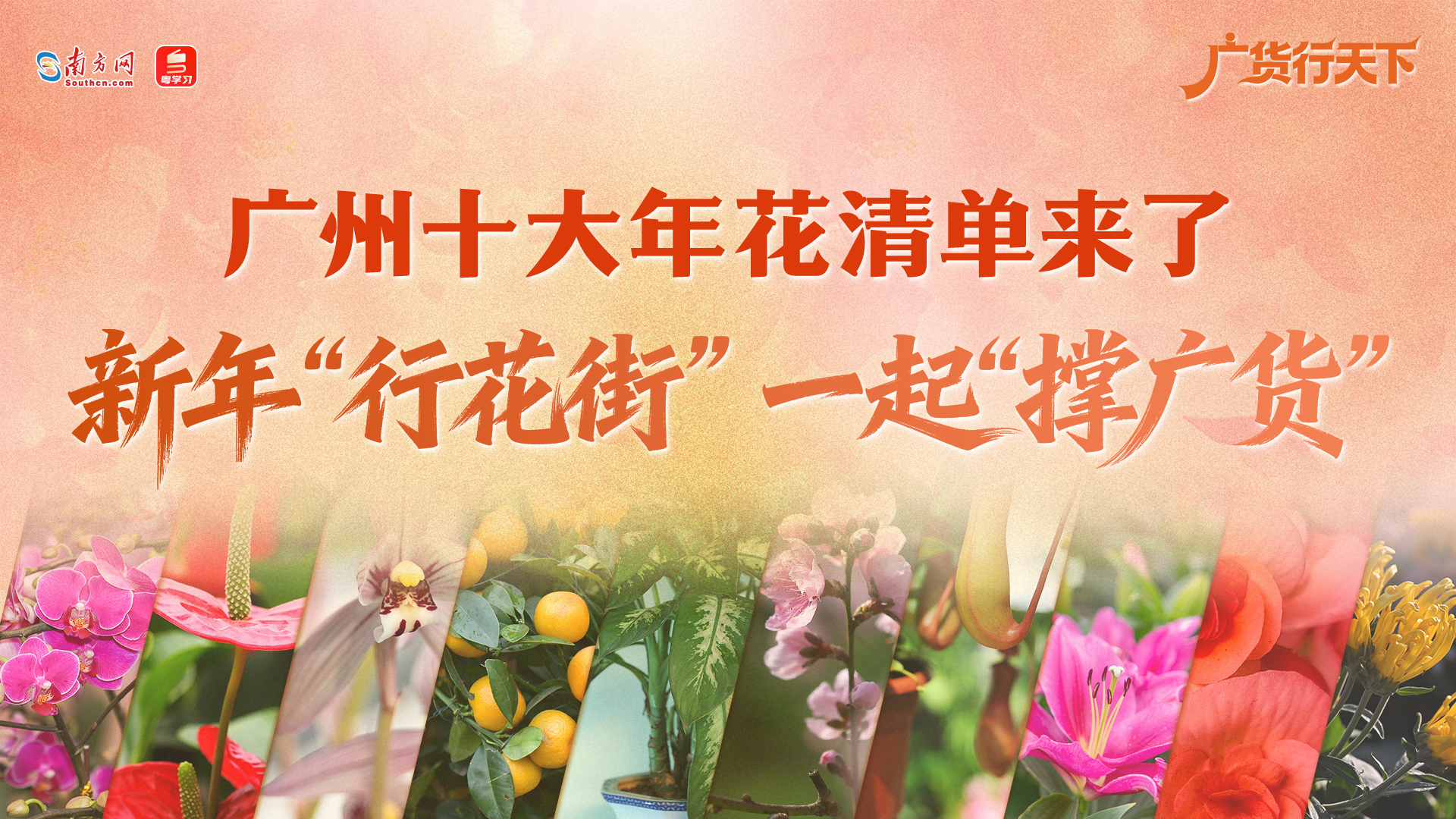 广州十大年花清单来了！新年“行花街”，一起“撑广货”｜广货行天下