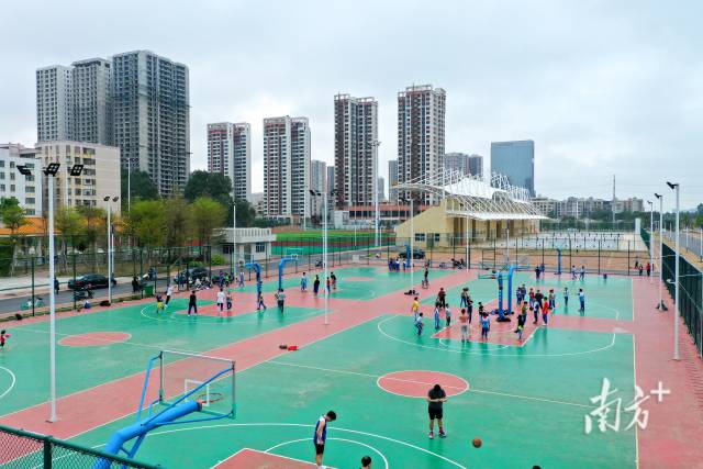 电白区体育公园吸引了许多青少年前来打球运动。何伟 摄
