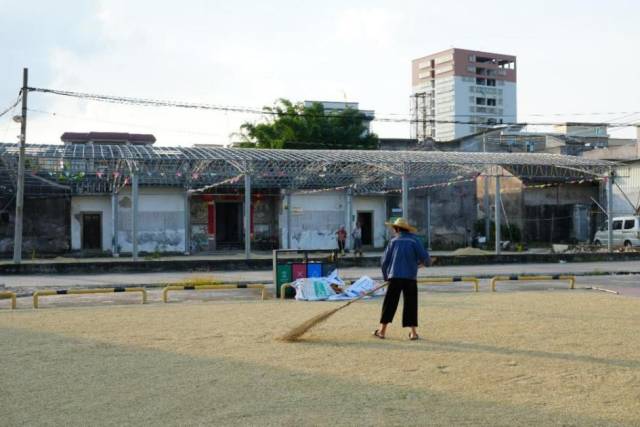 潮安区洋光村。复旦大学新闻学院学生石绎如 摄