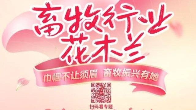 乘风破浪“她”力量，畜牧场上书华章