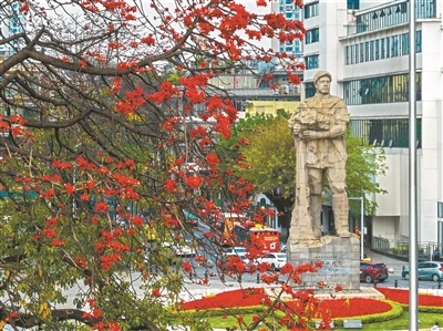 海珠广场英雄花开。(来源:广州日报)