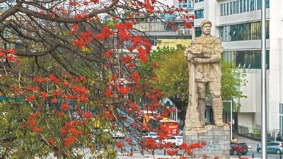 英雄花开英雄城：广州木棉红了 活动火了 全城热了