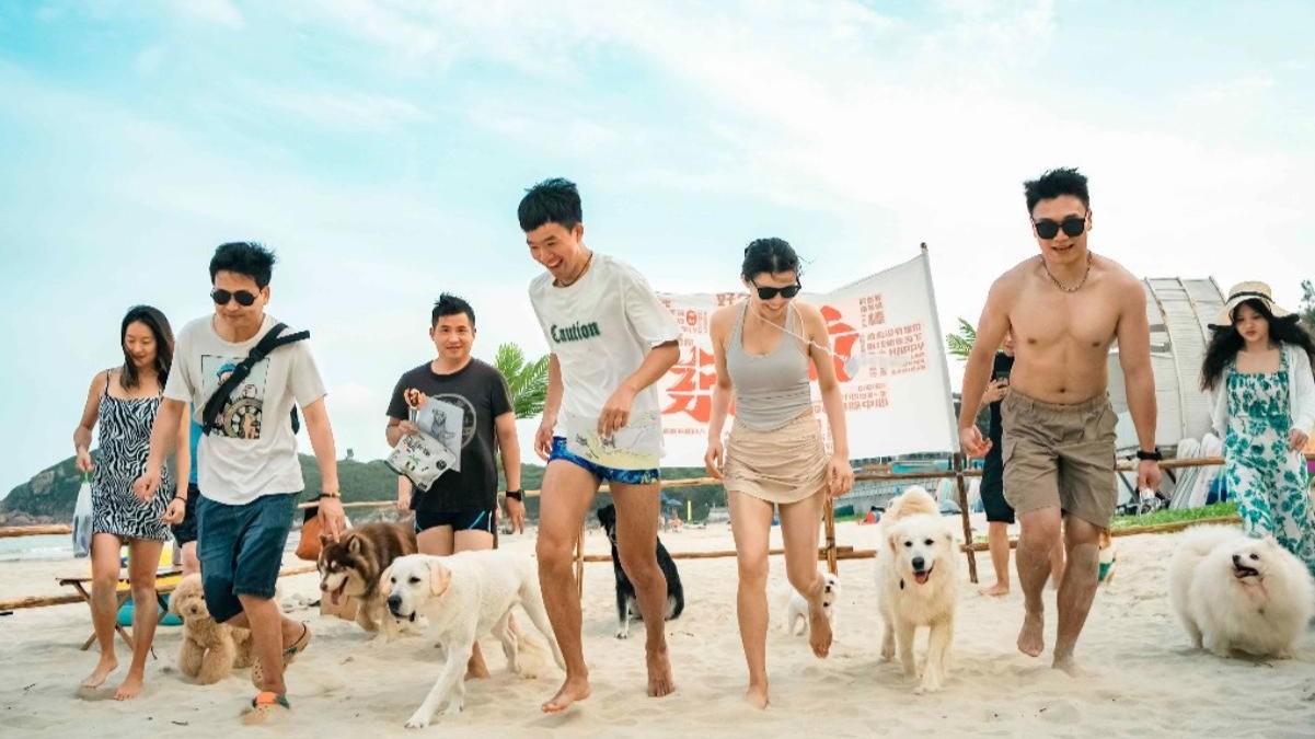 Traveling with pets becomes a new trend in China