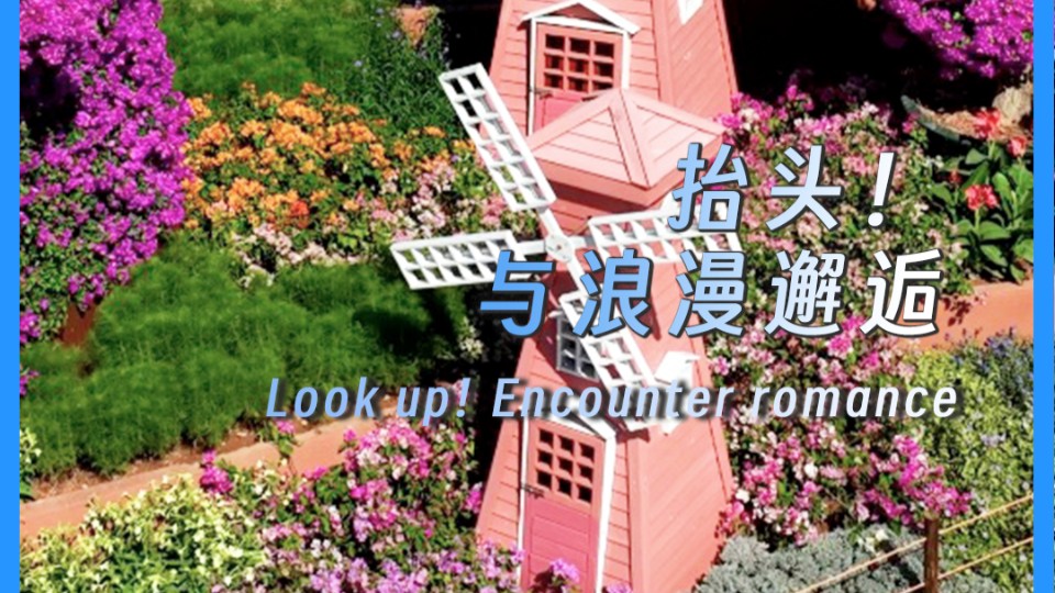 Look up! Encounter romance