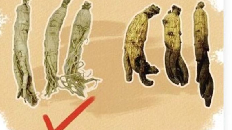 煲汤莫“断肠”！这些相似的中药材你了解吗?
