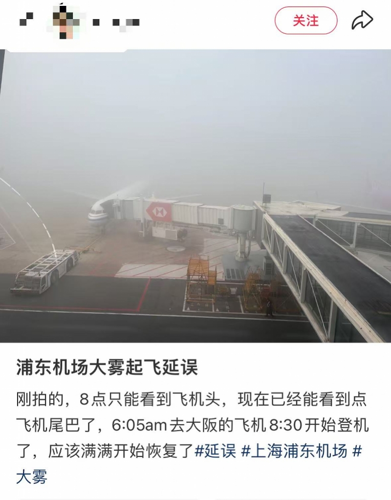 网友发帖称浦东机场受大雾影响。