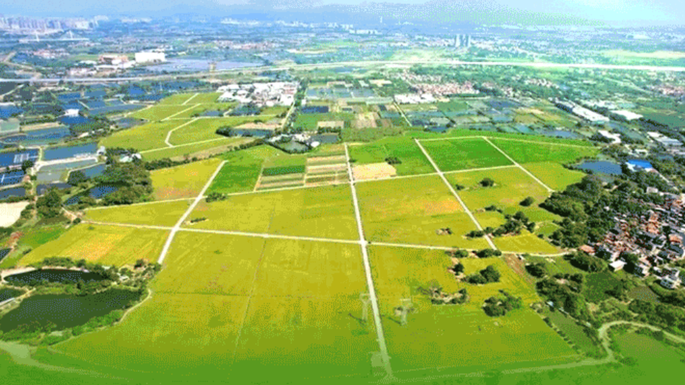 数览2025广东财政“账本”②｜支持“百县千镇万村高质量发展工程”促进区域协调发展