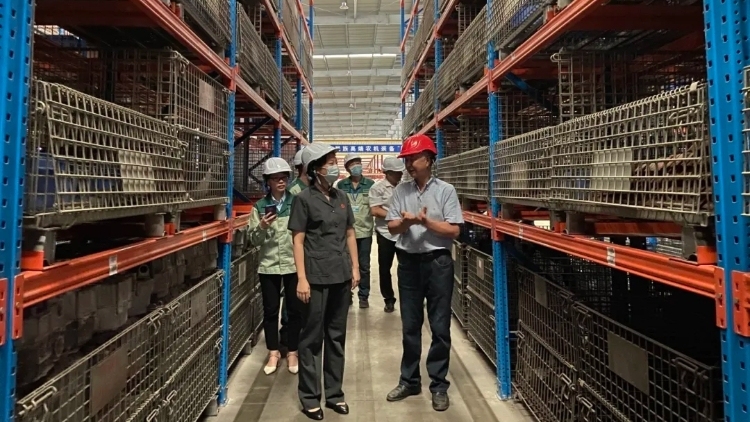 广州法院以高质量司法护航高质量发展，为打造一流营商环境贡献力量