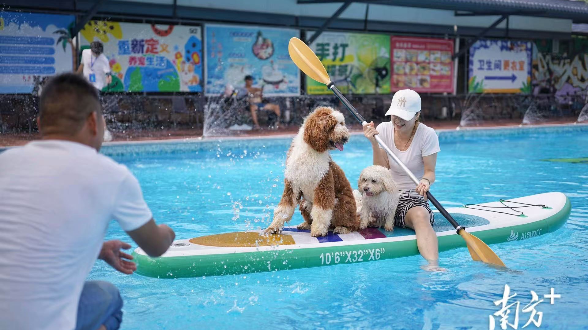 撬动万亿市场！大湾区宠物经济“铁三角”