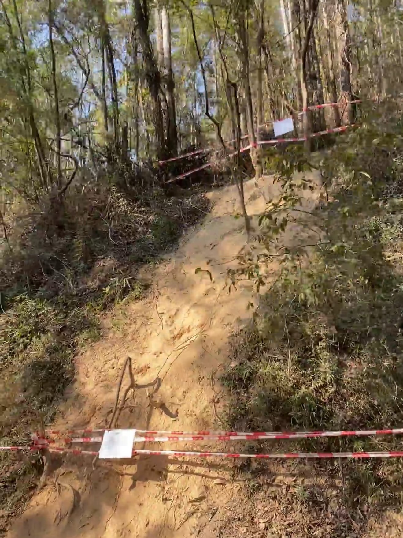 大夫山公园“画马”路线已被封住。（图片来源于网络）