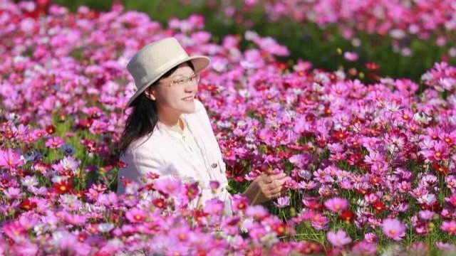 A guide to Nansha's winter flower wonders
