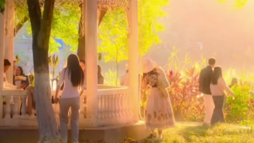 博主在海珠湖拍到现实版油画，网友：广州是个好地方！