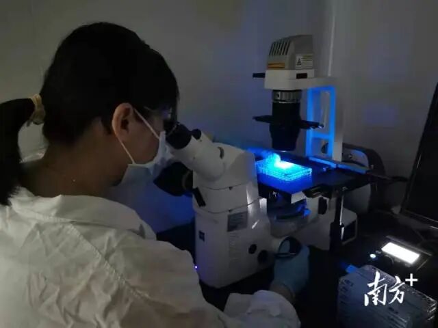 广东省农业科学院动物卫生研究所人兽共患病研究室。