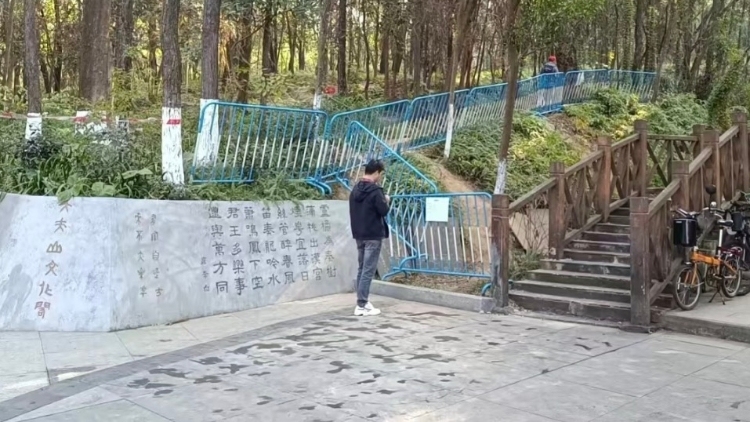 广州大夫山森林公园“画马”火爆，园方紧急叫停