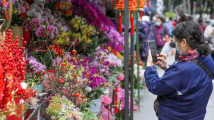 赏演出,行花街,过大年!广州荔湾将启动超百场春节活动 赏演出,行花街,过大年!广州荔湾将启动超百场春节活动