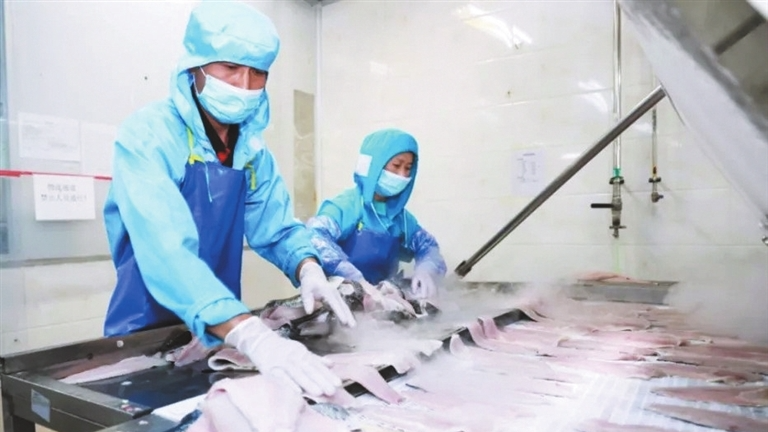 Sanjiao snakehead wins national Zhonglin Award