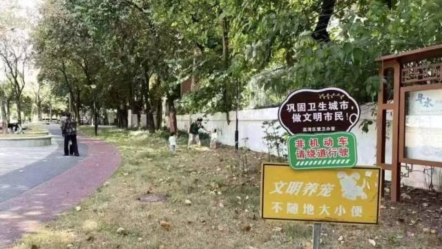 宠物狗中毒疑云：多方正接力溯源调查，犬主兽医等现身讲述