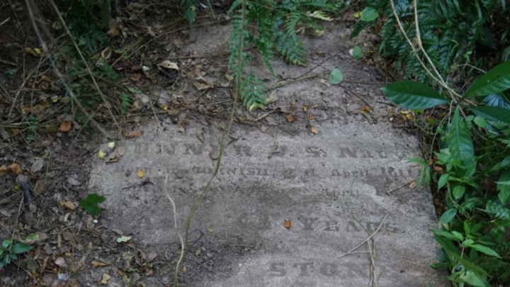 Qing-Dynasty gravesites of foreign sailors uncovered in Guangzhou's Huangpu