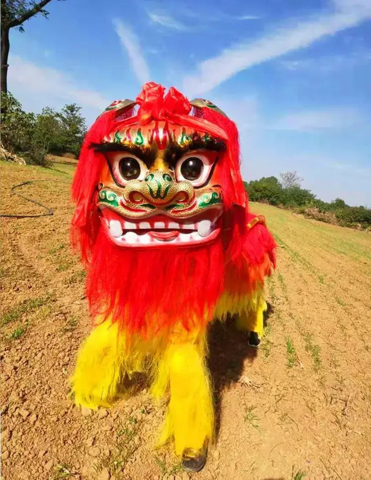 南狮较多高难技巧,神态矫健凶猛;北狮娇憨可爱,多以嬉戏玩耍为表演