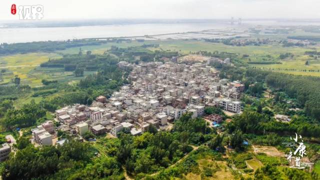 湛江市坡头区坡头镇塘尾村，村民们纷纷住上了“蚝”宅。