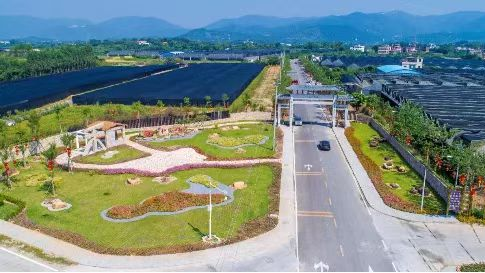 More preferential land and sea use policies launched in Guangdong