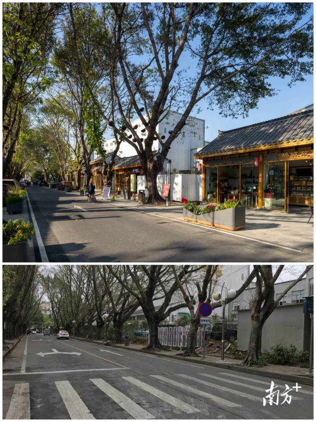 惠州统筹政府+社会资源力量，推动祝屋巷发生华丽蝶变。