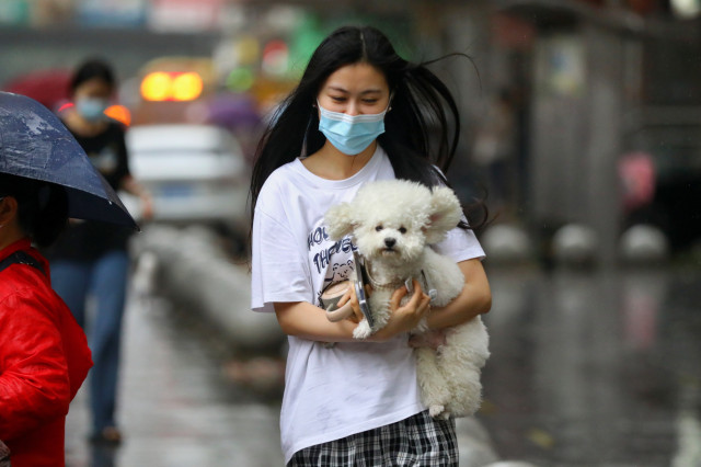 Moderate thunderstorm to hit Guangdong from April 14