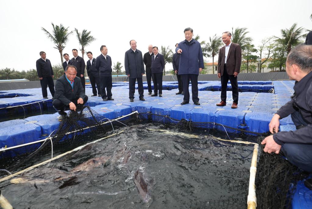 这是习近平总书记4月10日在广东省湛江市国家863计划项目海水养殖种子工程南方基地了解当地发展海洋渔业情况。新华社记者 鞠鹏 摄
