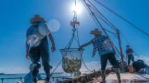 刘棕会:加快实现从农业大省向农业强省的蝶变 刘棕会:加快实现从农业大省向农业强省的蝶变