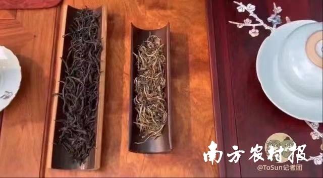 中法元首茶叙时所品饮的，就有英德红茶。