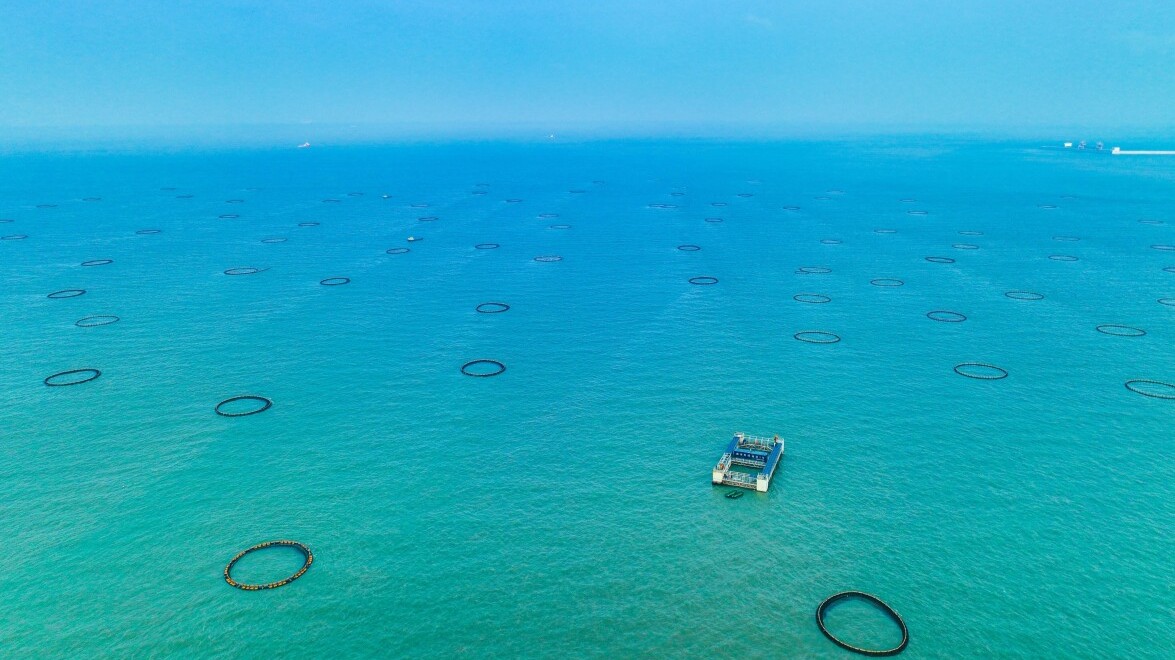 五部门开展行动 整治海洋环境污染与生态破坏突出问题